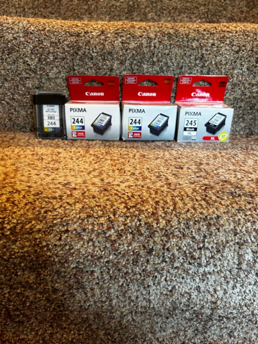Canon Genuine printer ink Pixma 244 & 245 LOT